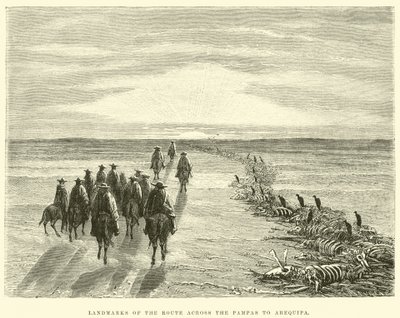 Landmarks of the route across the Pampas to Arequipa by Edouard Riou